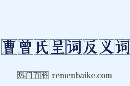 曹曾氏呈词反义词是什么意思的图片